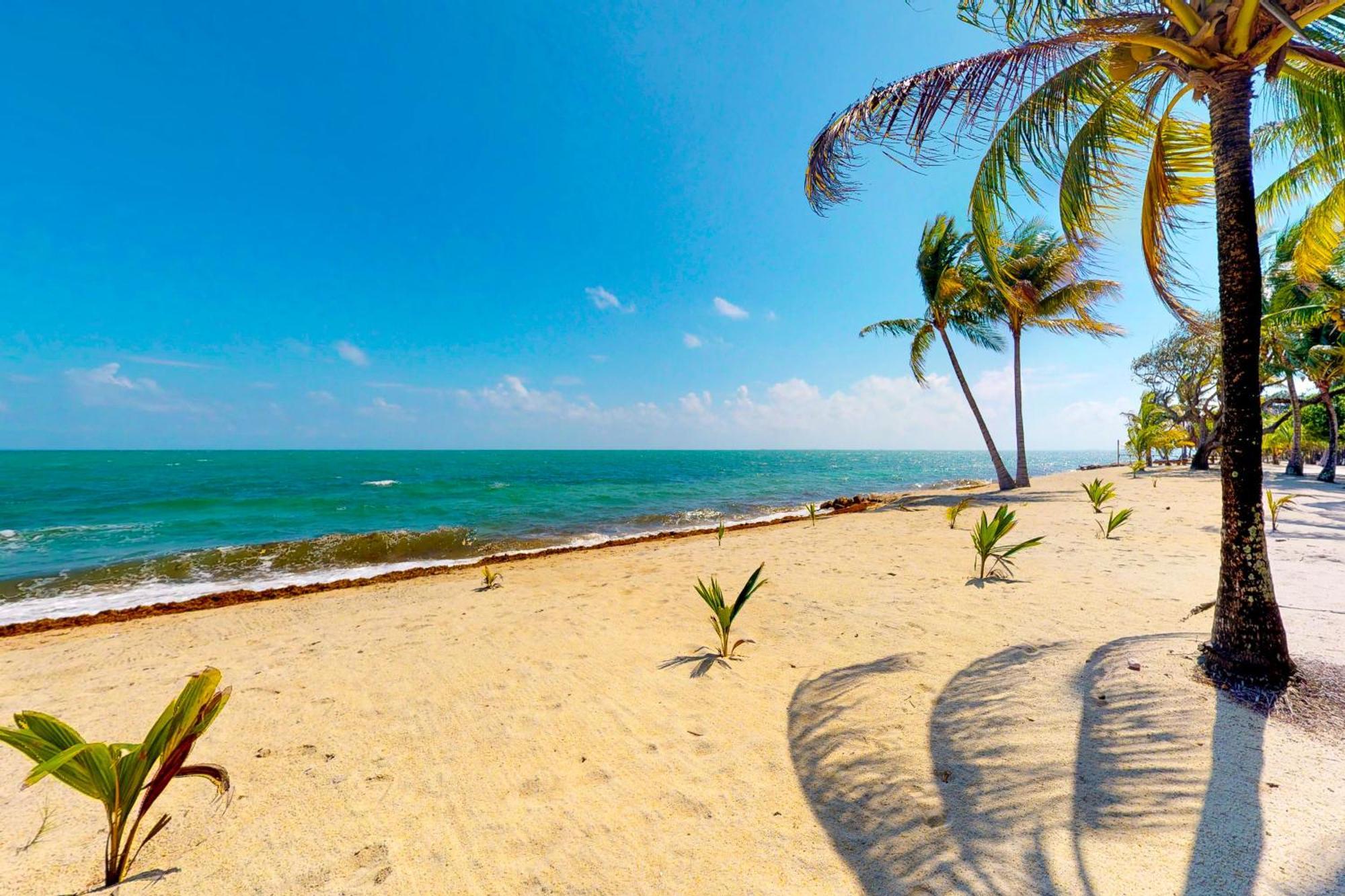 Casa Spuntino Villa Placencia Ngoại thất bức ảnh